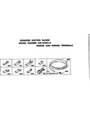 Wiring and wiring terminals