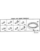 Wiring and wiring terminals