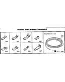 Wiring and wiring terminals