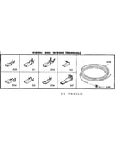 Wiring and wiring terminals