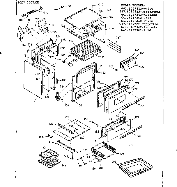 BODY SECTION