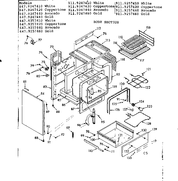 BODY SECTION