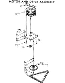 Motor and drive assembly