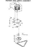 Motor and drive assembly