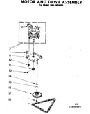Motor and drive assembly