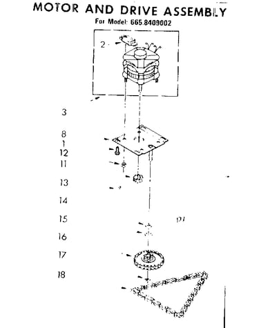 Motor and drive assembly