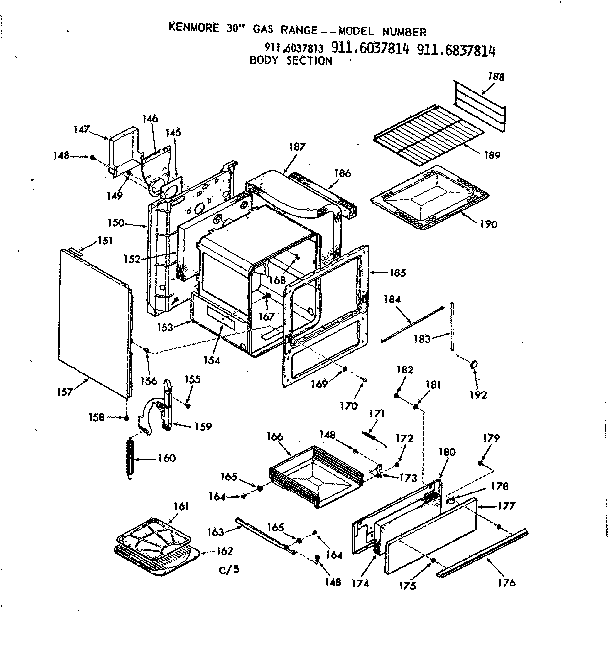 BODY SECTION