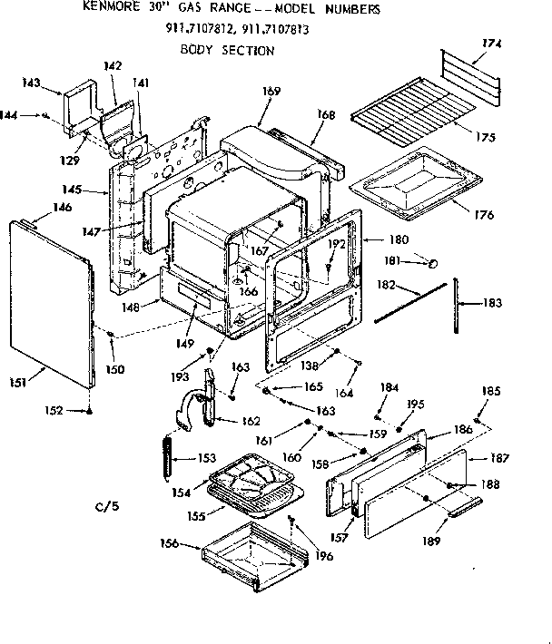 BODY SECTION