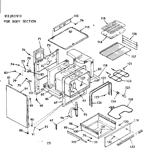 BODY SECTION