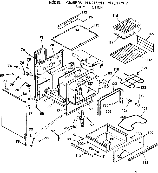 BODY SECTION