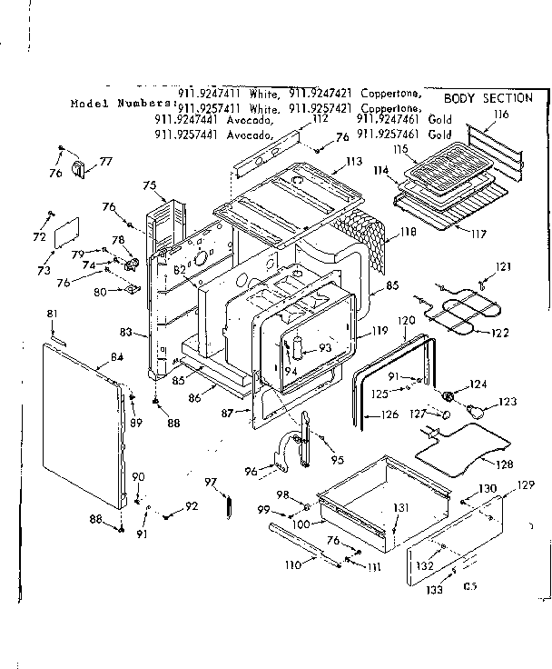 BODY SECTION