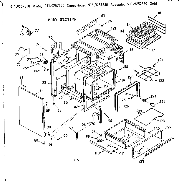 BODY SECTION