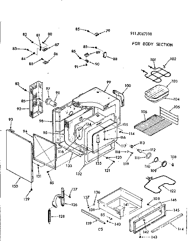 BODY SECTION