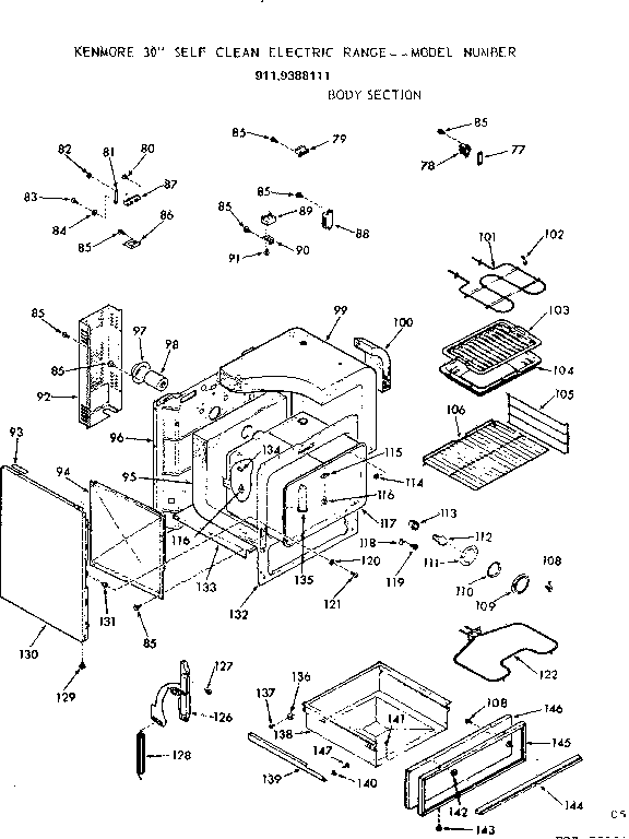 BODY SECTION