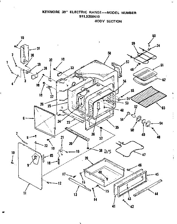 BODY SECTION