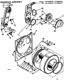 Bulkhead assembly