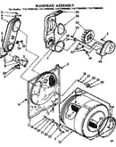 Bulkhead assembly