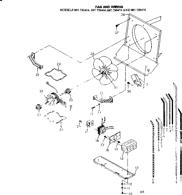 Fan and wiring
