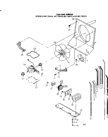 Fan and wiring