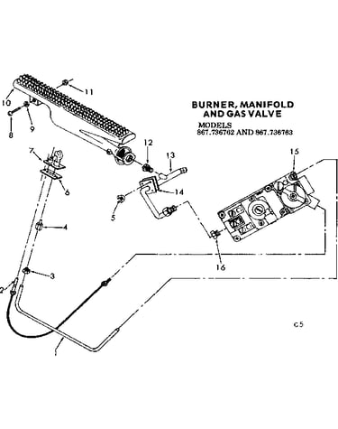 Burner manifold & gas valve