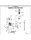Terminal and fuse box
