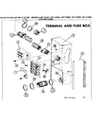 Terminal and fuse box
