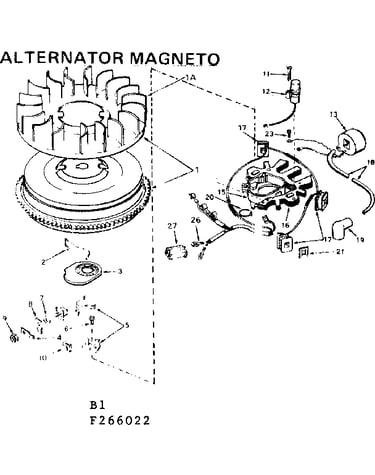 Alternator magneto