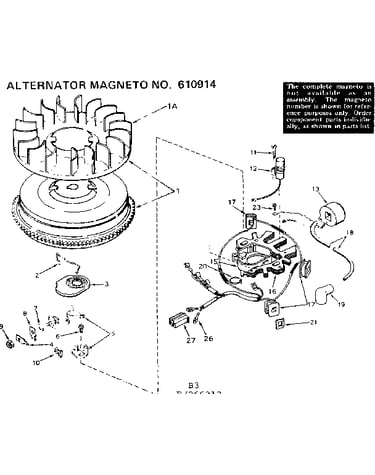 Alternator magneto