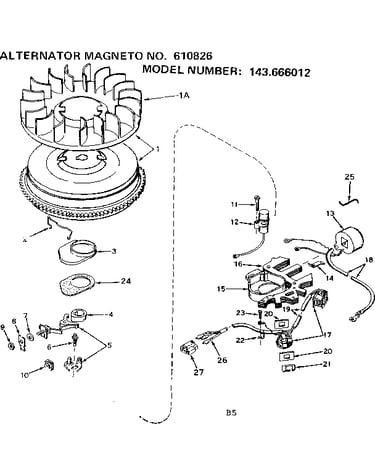Alternator magneto