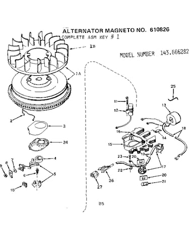 Alternator magneto
