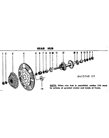 Rear hub
