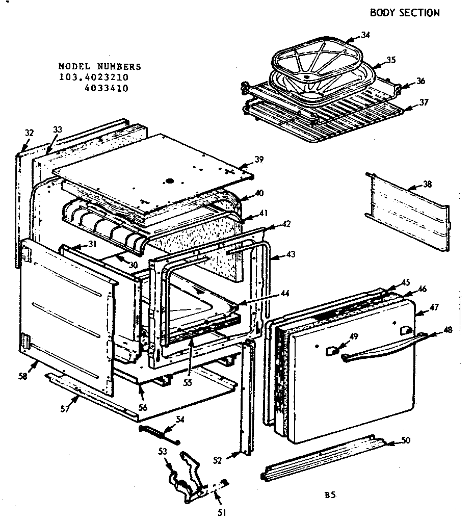 BODY SECTION