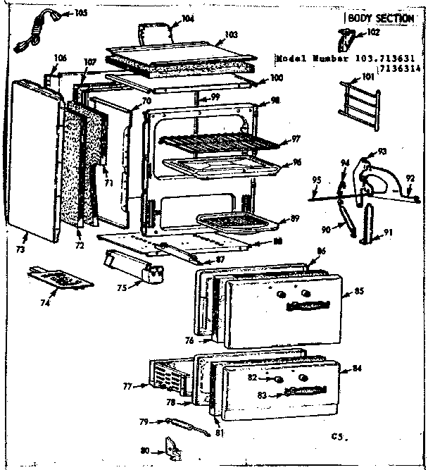 BODY SECTION