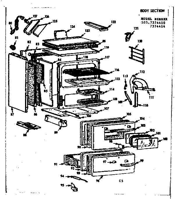 BODY SECTION