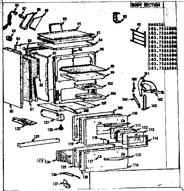 BODY SECTION