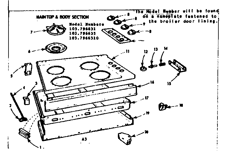 Maintop & body section