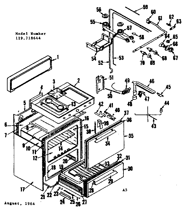 BODY SECTION