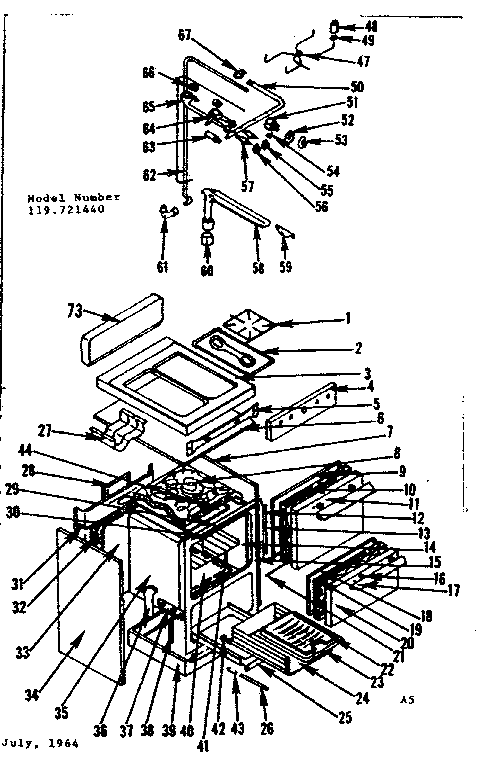 BODY SECTION