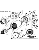 Stator assembly