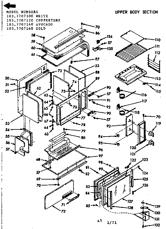 UPPER BODY SECTION