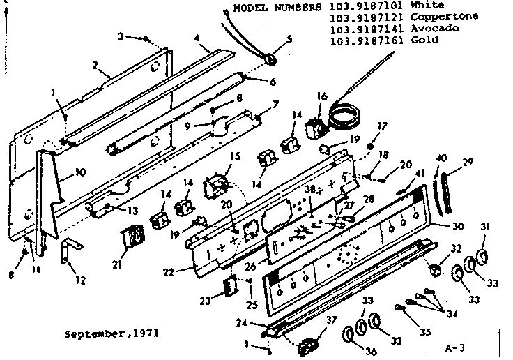 BACKGUARD SECTION