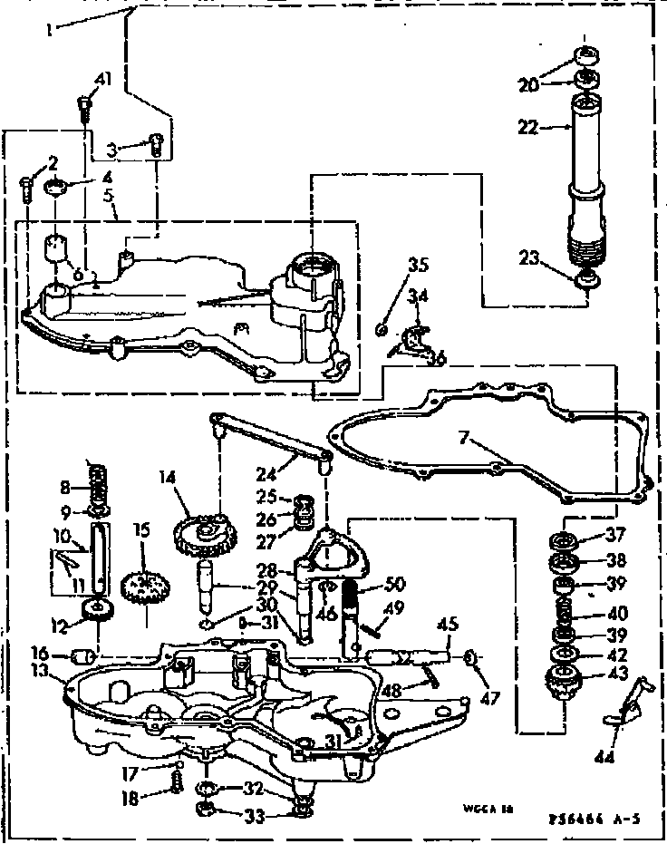 Worm gear