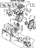 Blower and pump