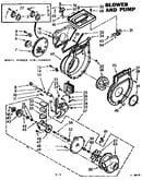 Blower and pump