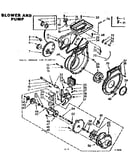 Blower and pump