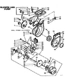 Blower and pump