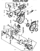 Blower and pump