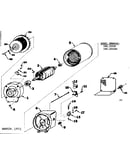 Stator assembly