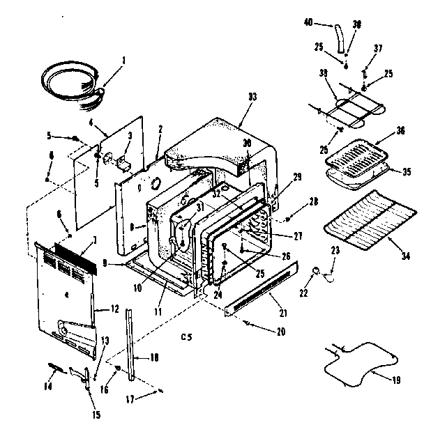 BODY SECTION