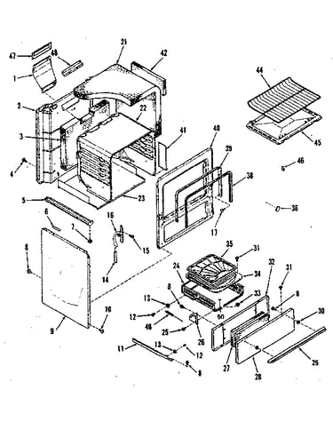Illustration for body section